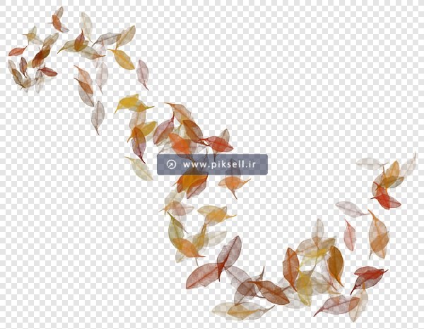 فایل دوربری شده برگ های پاییزی در باد با فرمت png