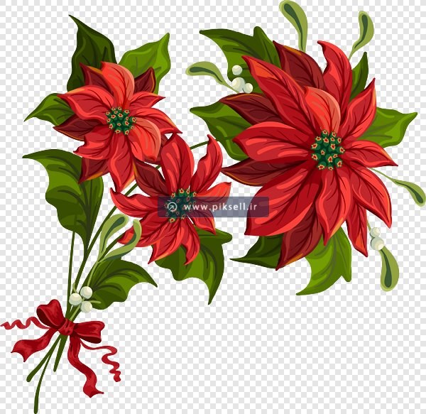 فایل png دوربری شده دسته گل های قرمز