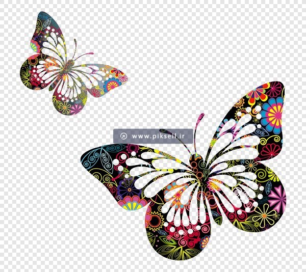 فایل png پروانه های رنگی بصورت ترانسپرنت