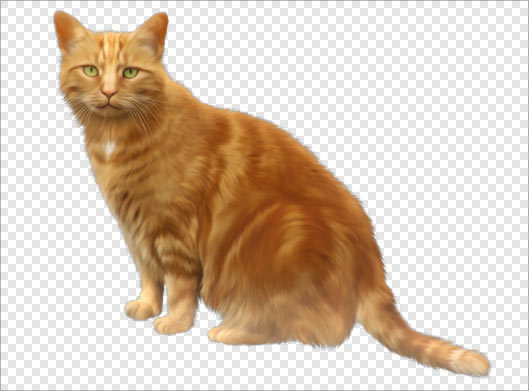 فایل png گربه قهوه ای در حال نشسته