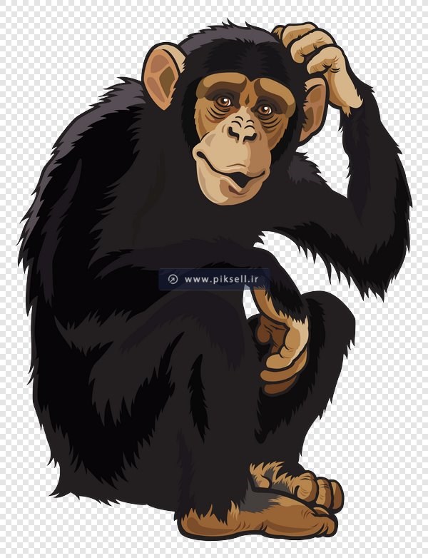 فایل png کاراکتر کارتونی شامپانزه و میون سیاه