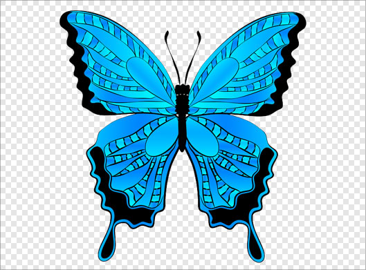 فایل png دوربری شده پروانه آبی بصورت ترانسپرنت