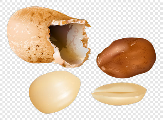 دانلود فایل png بادام زمینی بصورت دوربری شده