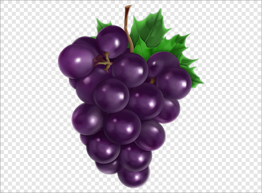 فایل png انگور سیاه بصورت دوربری شده