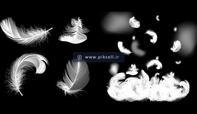 دانلود وکتور لایه باز مجموعه پرهای کبوتر با رنگ سفید