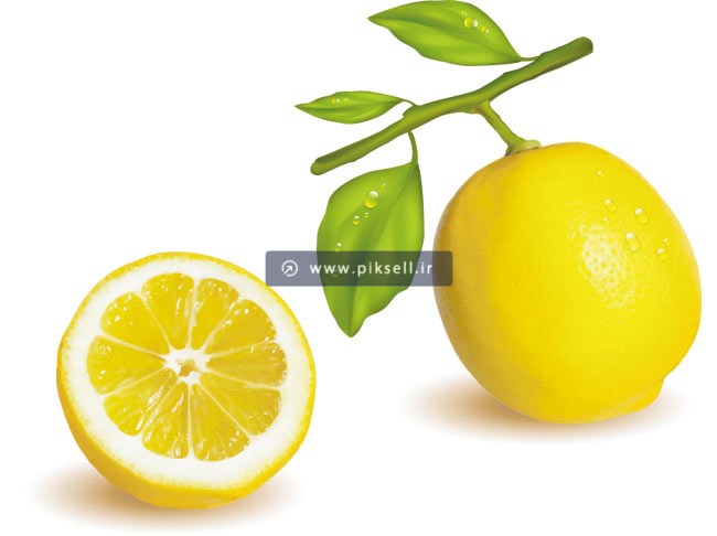 وکتور لایه باز با طرح لیمو ترش زرد و شاخه و برگ