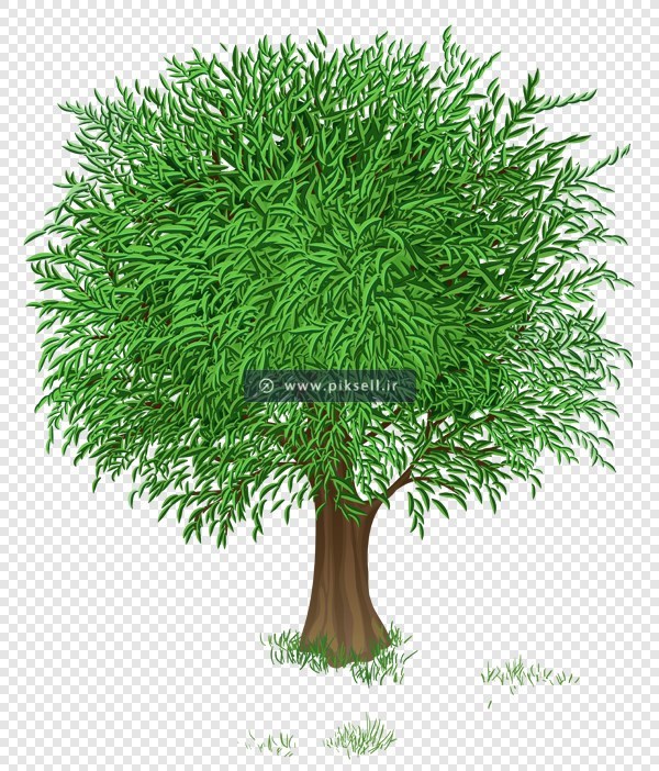 فایل png ترانسپرنت و دوربری شده درخت سبز