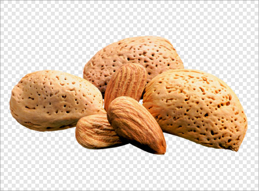 فایل png دوربری شده بادم درختی و مغز بادام