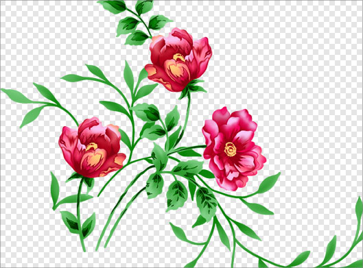 فایل Png ترانسپرنت و دوربری شده گلهای تزئینی گرافیکی و نقاشی شده