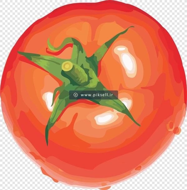 فایل png دوربری شده و ترانسپرنت گوجه فرنگی قرمز