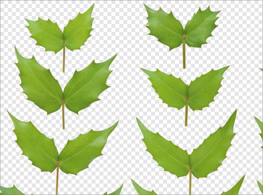 دانلود فایل png تصویر دوربری شده برگهای سبز