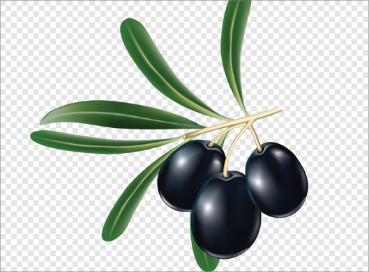 دانلود فایل png دوربری شده و ترانسپرنت زیتون های سیاه
