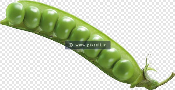 فایل Png دوربری شده و ترانسپرنت نخود فرنگی سبز
