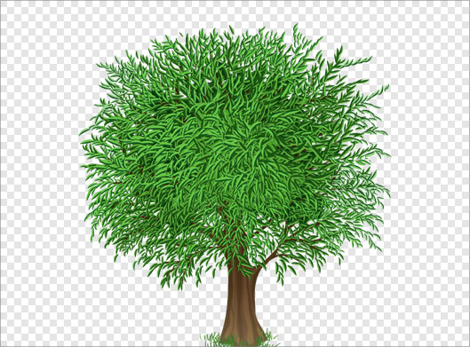 فایل png ترانسپرنت و دوربری شده درخت سبز