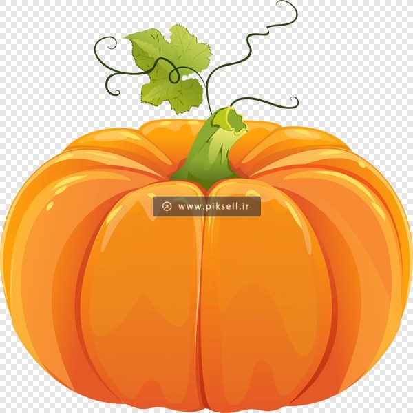 فایل دوربری شده کدو تنبل نارنجی با پسوند png