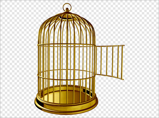 فایل png ترانسپرنت و دوربری شده قفس طلایی پرنده
