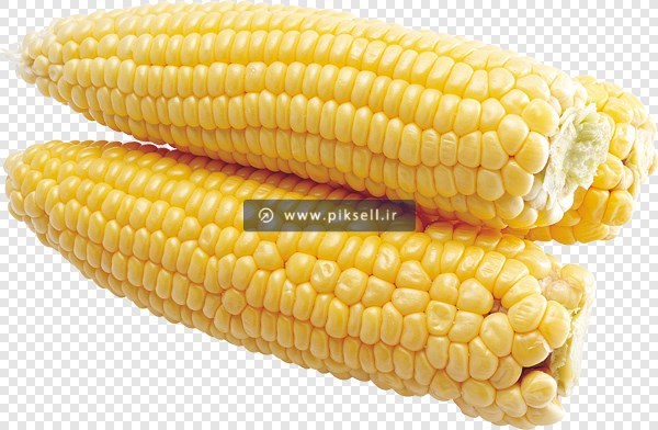 تصویر دوربری شده و ترانسپرنت ذرت و بلال با پسوند png