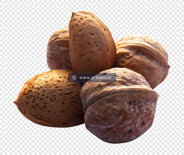 فایل Png تصویر دوربری شده گردو و بادام (ترانسپرنت)