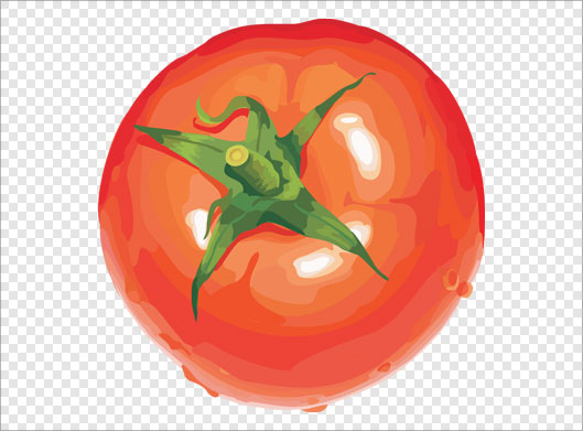 فایل png دوربری شده و ترانسپرنت گوجه فرنگی قرمز