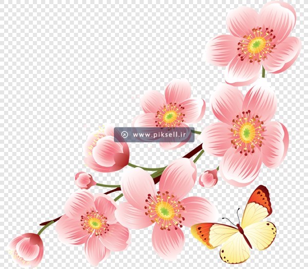 فایل دوربری شده و ترانسپرنت گلهای صورتی بهاری (شکوفه) و پروانه با فرمت png