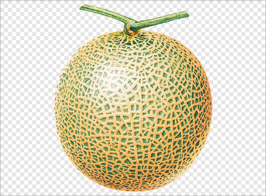 فایل png دوربری شده و ترانسپرنت طالبی یا خربزه