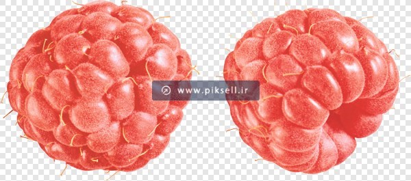 دانلود فایل دوربری شده و ترانسپرنت تمشک های خوشمزه با پسوند PNG