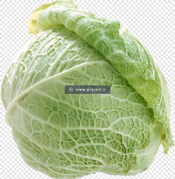 فایل دوربری شده و ترانسپرنت کلم پیچ سبز با فرمت png (کاهو)