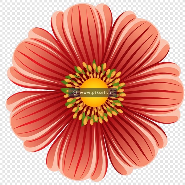 دانلود فایل png تصویر ترانسپرنت و دوربری شده گل زیبا