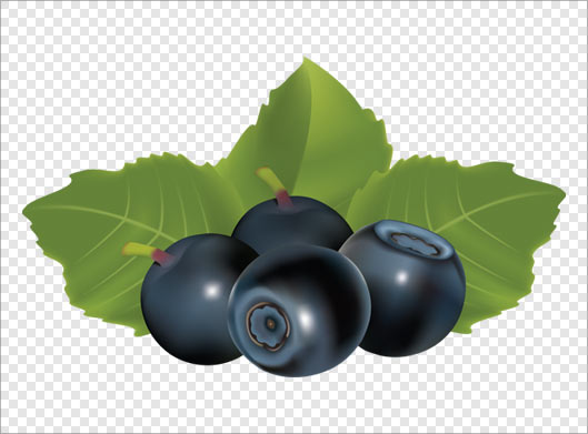 فایل ترانسپرنت دوربری شده بلوبری و برگ با فرمت png