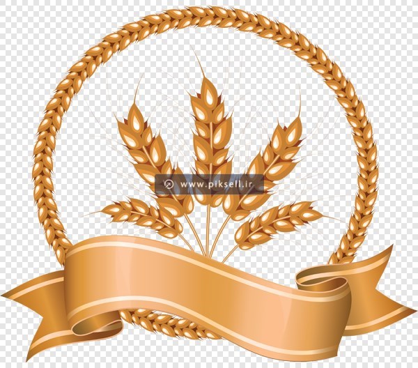 دانلود فایل png لیبل طلایی گندم (دوربری شده و ترانسپرنت)