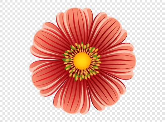 دانلود فایل png تصویر ترانسپرنت و دوربری شده گل زیبا