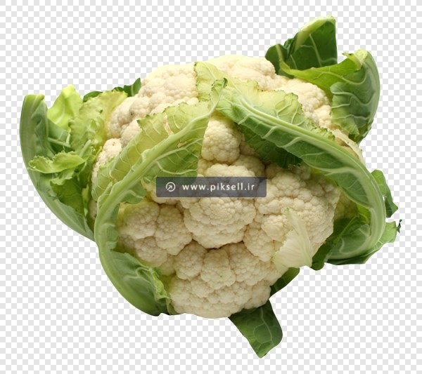 دانلود فایل png دوربری شده و ترانسپرنت گل کلم
