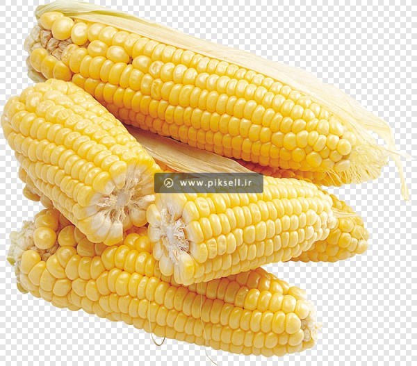 دانلود فایل png و ترانسپرنت بلال و ذرت بصورت دوربری شده