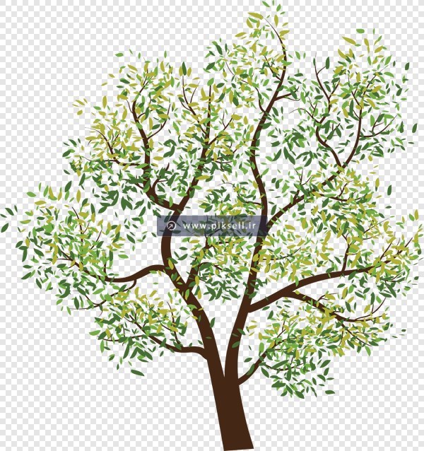 دانلود تصویر ترانسپرنت و دوربری شده درخت سبز با فرمت png