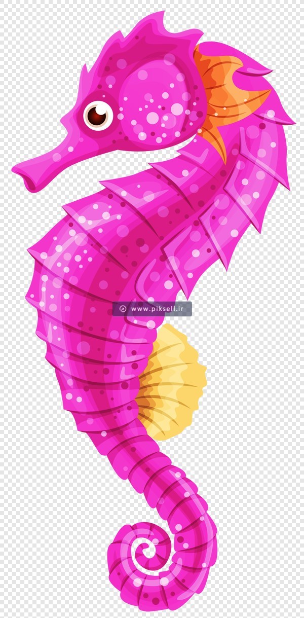 دانلود فایل png ترانسپرنت و دوربری شده اسب آبی صورتی کارتونی