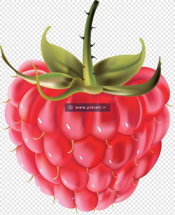 دانلود فایل png دوربری شده و ترانسپرنت تمشک