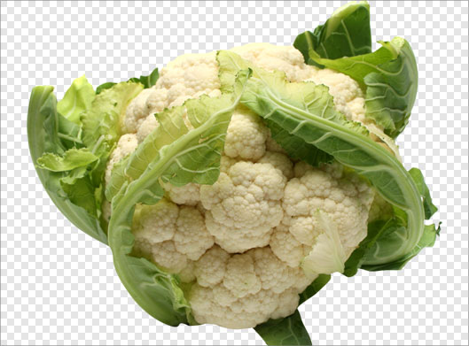 دانلود فایل png دوربری شده و ترانسپرنت گل کلم