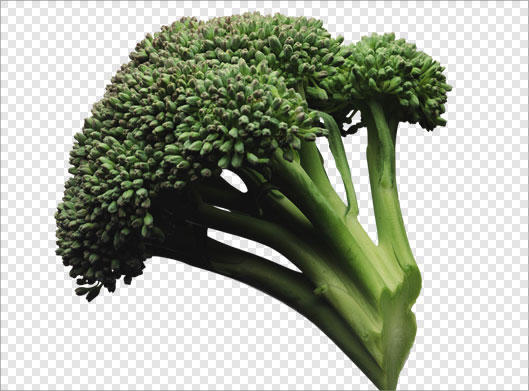 فایل دوربری شده و ترانسپرنت کلم بروکلی سبز با فرمت png