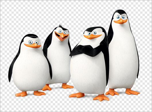 فایل png تصویر دوربری شده کاراکترهای کارتونی پنگوئن ها در کارتون پنگوئن های ماداگاسکار