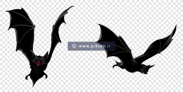 فایل دوربری شده و ترانسپرنت خفاش های در حال پرواز با فرمت png