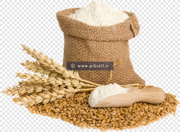 فایل ترانسپرنت دوربری شده گندم آرد و گندم ها با فرمت png