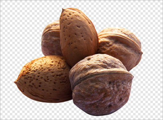 فایل Png تصویر دوربری شده گردو و بادام (ترانسپرنت)