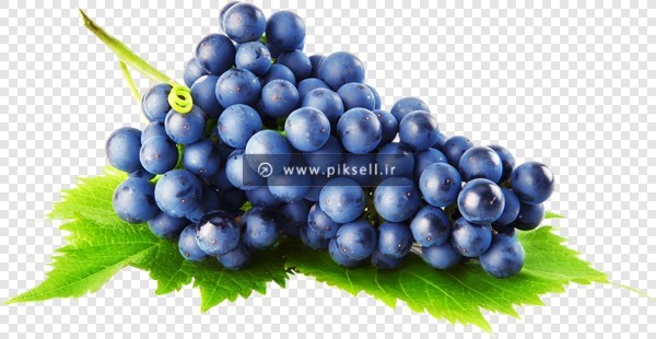 دانلود فایل png ترانسپرنت و دوربری شده انگور سیاه روی برگ