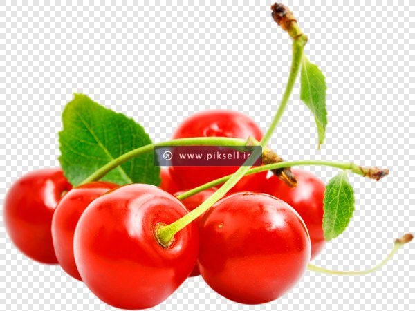 دانلود تصویر دوربری شده گیلاس و آلبالو با پسوند png