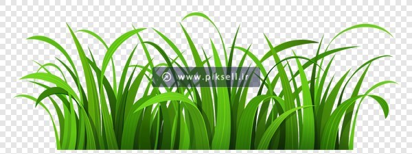 فایل png دوربری شده و ترانسپرنت چمن زار سبز
