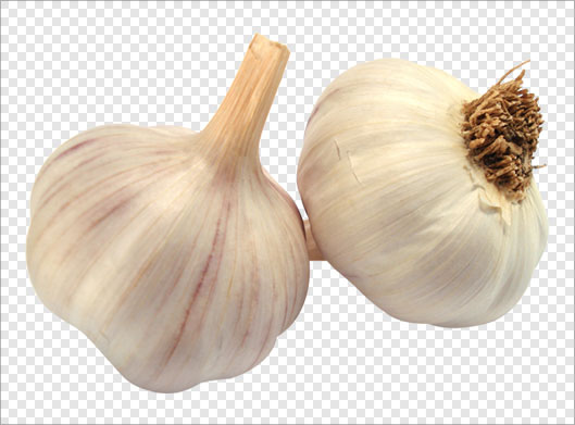 فایل دوربری شده و ترانسپرنت سیرهای خام با فرمت png
