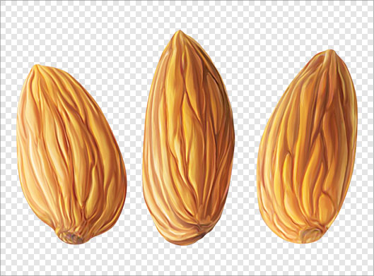 فایل png و دوربری شده و ترانسپرنت مغزهای بادام درختی