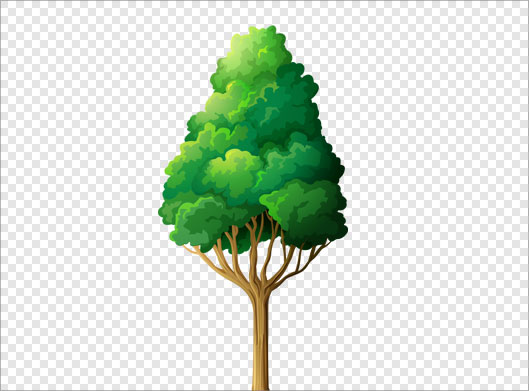 فایل png دوربری شده و ترانسپرنت درخت سبز