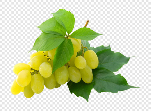 فایل ترانسپرنت دوربری شده خوشه انگلور زرد و برگ با فرمت png