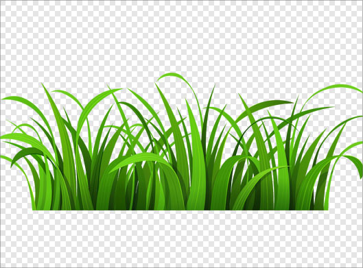 فایل png دوربری شده و ترانسپرنت چمن زار سبز